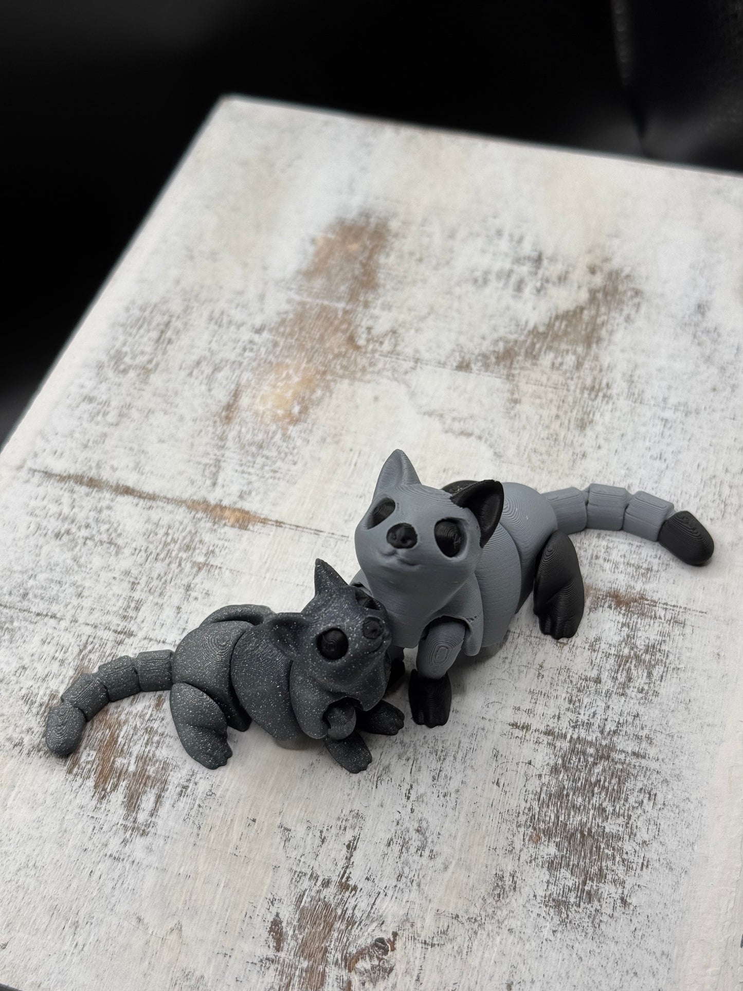 Cats and Kittens