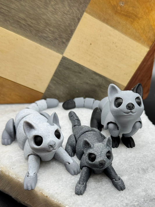 Cats and Kittens