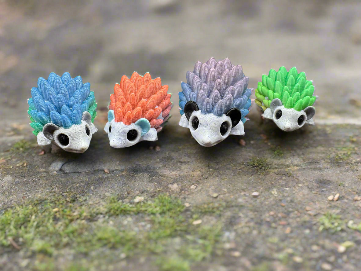 Rainbow Hedgehogs