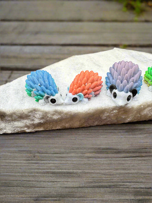 Rainbow Hedgehogs