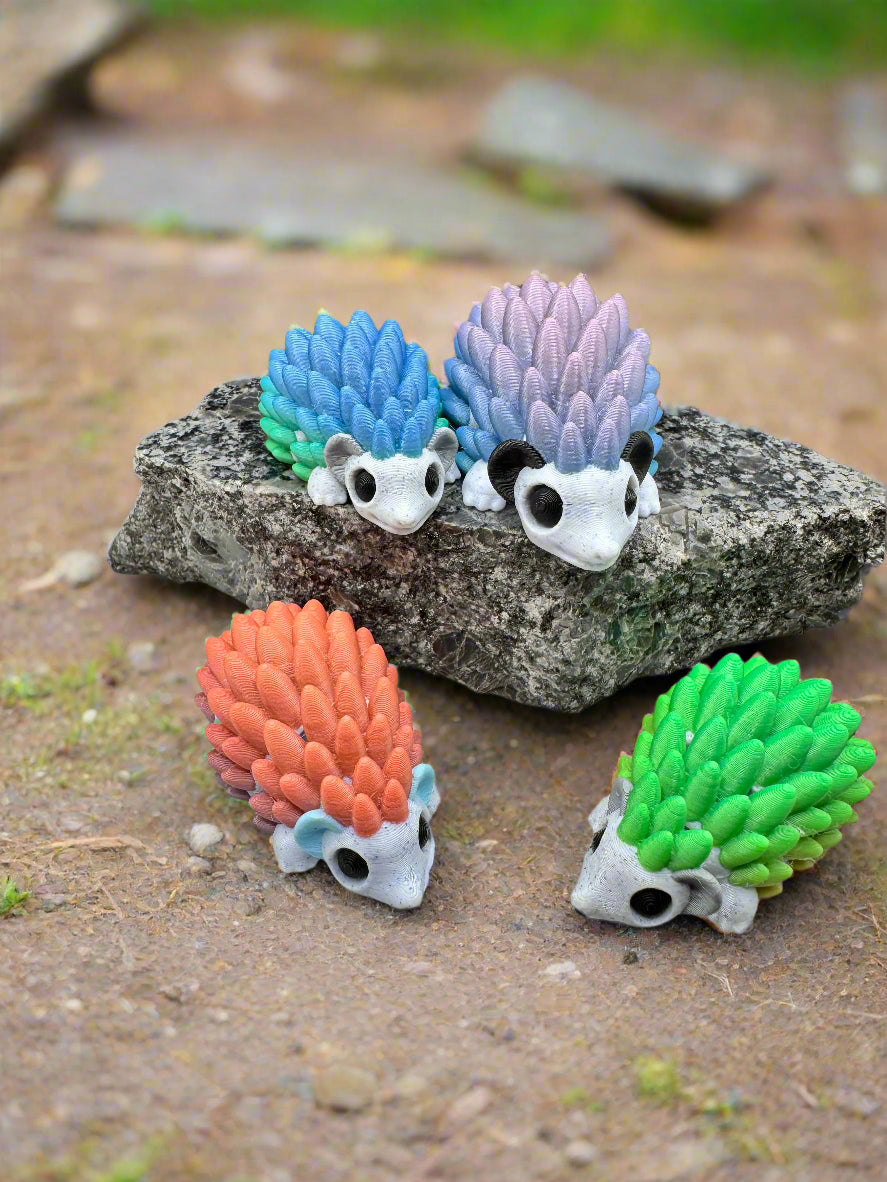 Rainbow Hedgehogs